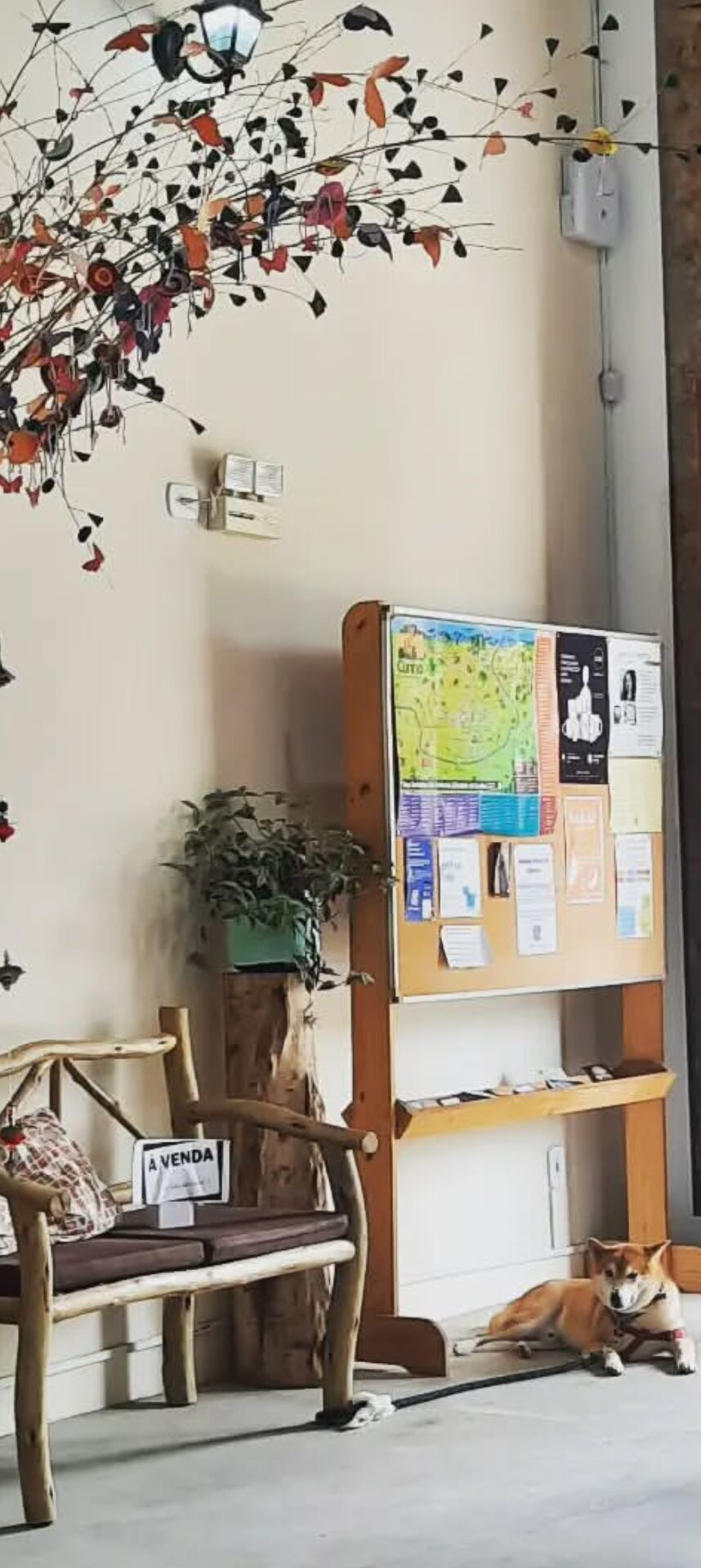 ´casa2 ´casa2
